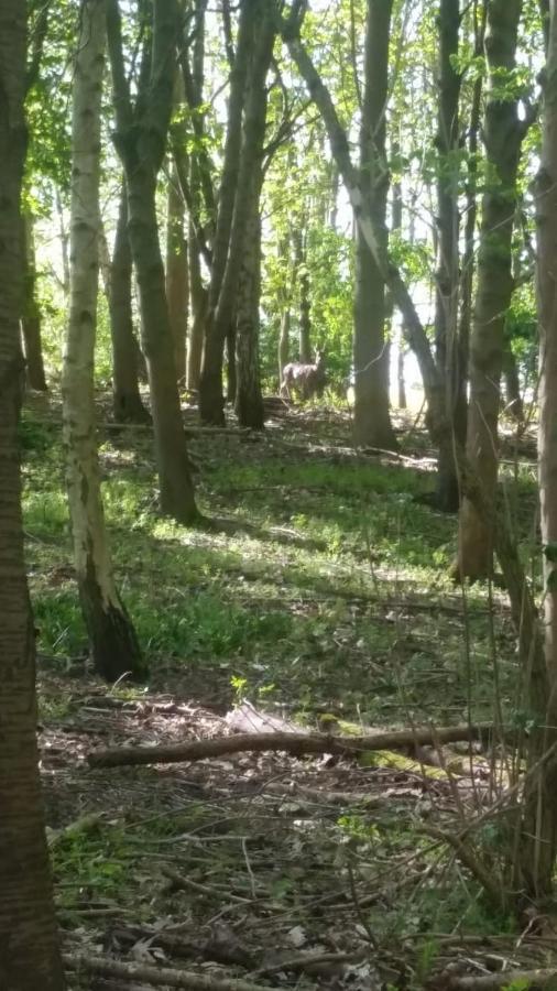 Westhurst Park Bnb Bredon Bagian luar foto