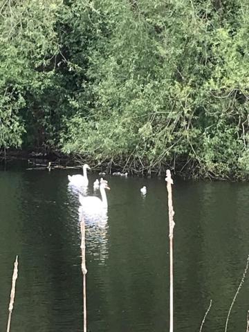 Westhurst Park Bnb Bredon Bagian luar foto