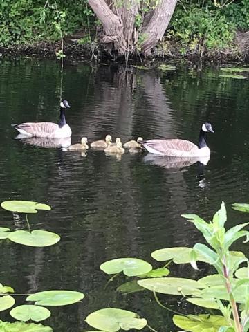 Westhurst Park Bnb Bredon Bagian luar foto